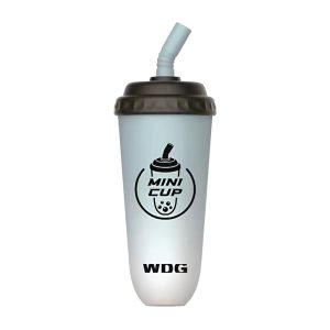 WDG Mini Cup Einweg-E-Zigaretten 5000 Züge - Eiswasser