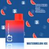HAPP Großhandelsbox 800 Puffs Einweg-Vape-Gerät 10 Stück / Packung - Wassermeloneneis