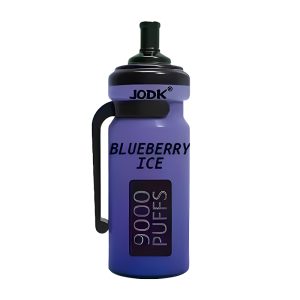 JODK Bottle Einweg-Vape 9000 Puffs - Blueberry Ice