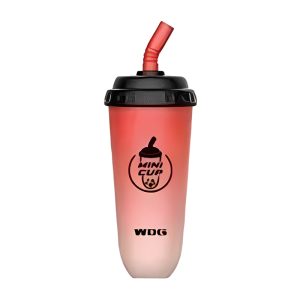 WDG Mini Cup Einweg-Vape 5000 Puffs - Watermelon Ice