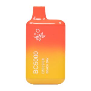 ELF BAR BC5000 Disposable 5000 Züge Beach Day 13 ml