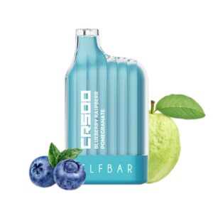 ELF BAR CR5000 Disposable Blueberry Raspberry Pomegranate 5000 Züge