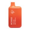 ELF BAR BC5000 Disposable 5000 Züge Mint Tobacco 13 ml