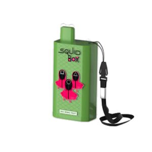 RandM Squid Box 5200 Züge Big Bang Fruit Einweg E-zigarette 12ml