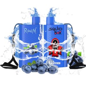 RandM Squid Box 5200 Züge Einweg E-zigarette Blueberry Ice 12ml
