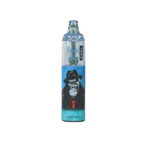 RandM Tornado 7000 Züge Cool Mint Einweg E-zigarette 14ml