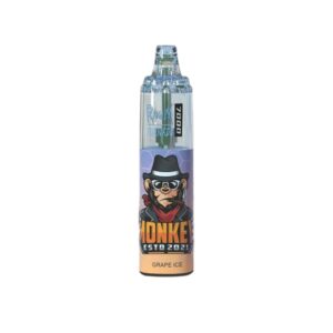 RandM Tornado 7000 Züge 14ml Einweg E-zigarette Grape Ice