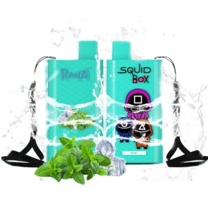 RandM Squid Box 5200 Züge Mint 12ml Einweg E-zigarette