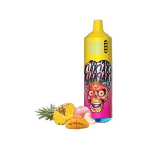 RandM Tornado 9000 Züge 18ml Einweg E-zigarette Peachy Mango Pineapple